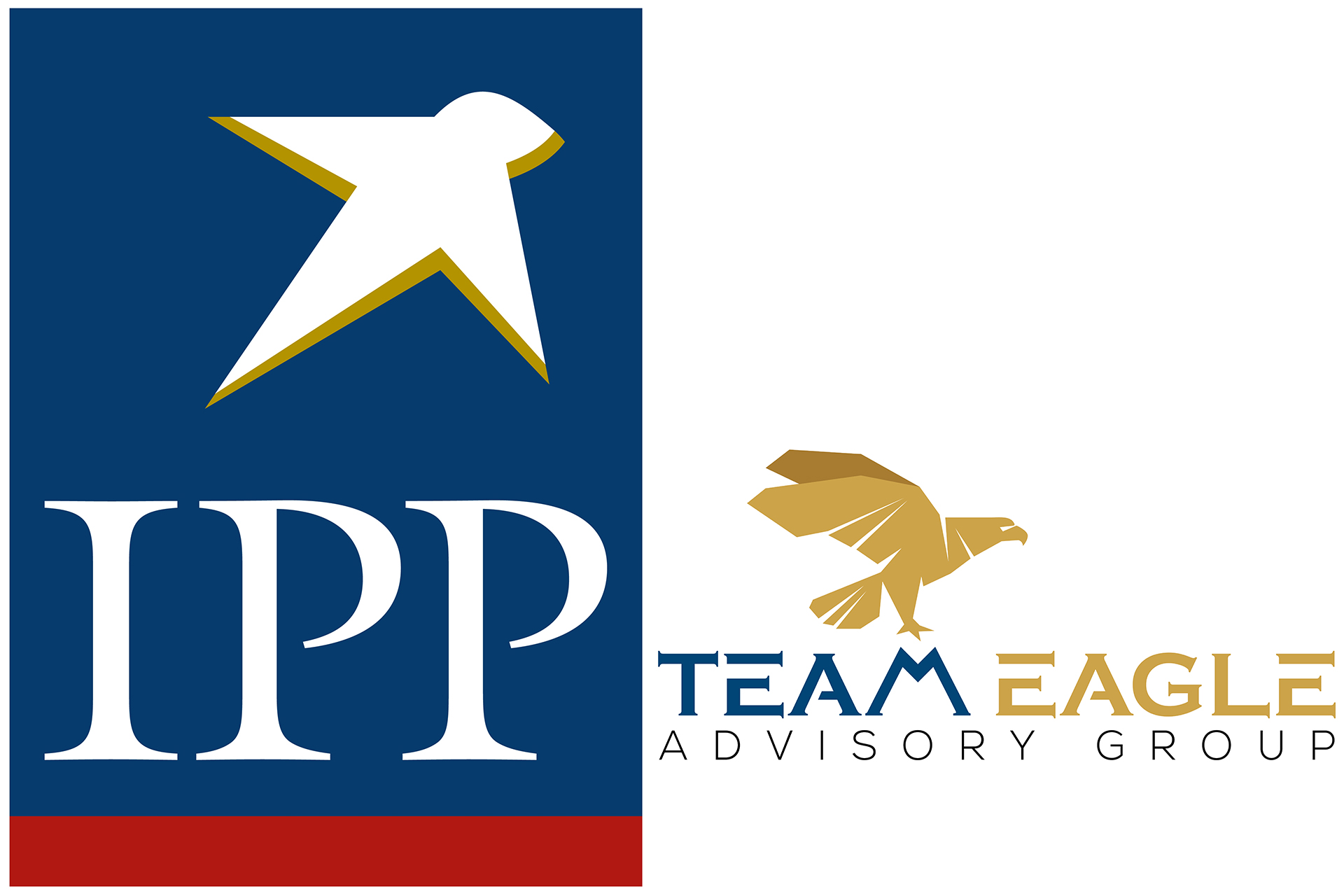 Team Eagle Advisory Group